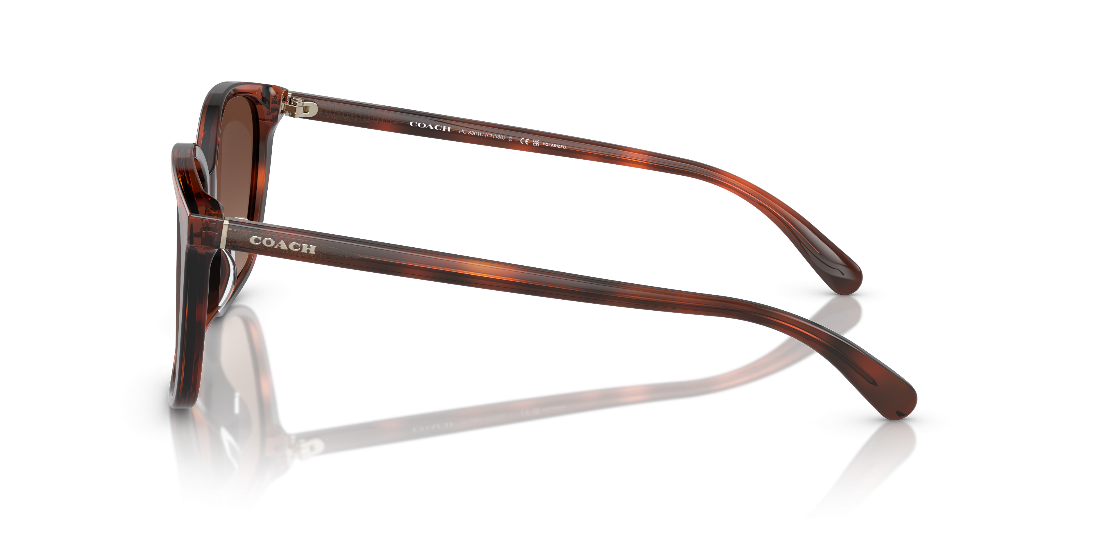 HC8361U CH558 Sunglasses - Coach Authorized Retailer | coolframes