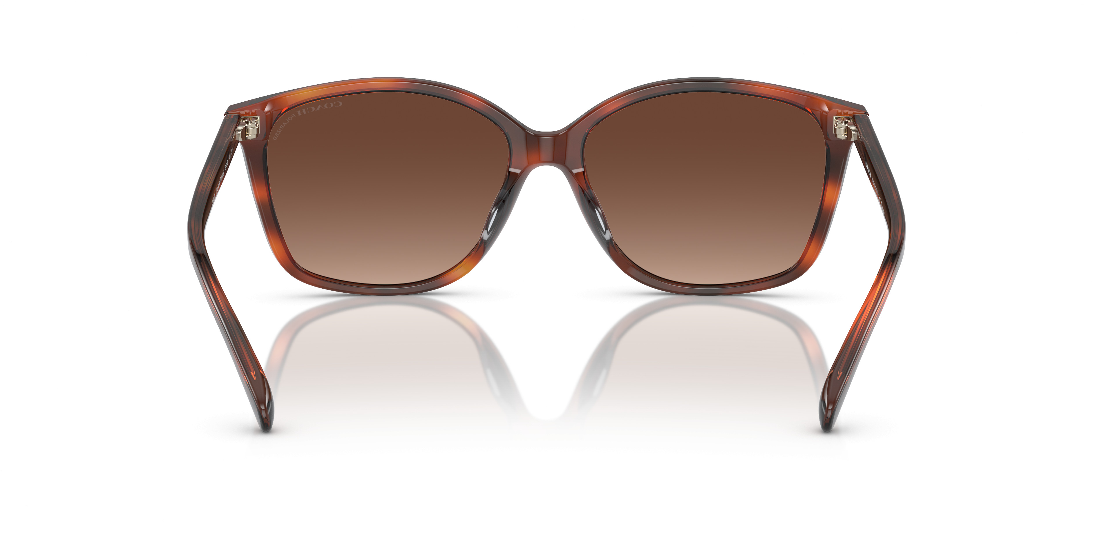 HC8361U CH558 Sunglasses - Coach Authorized Retailer | coolframes