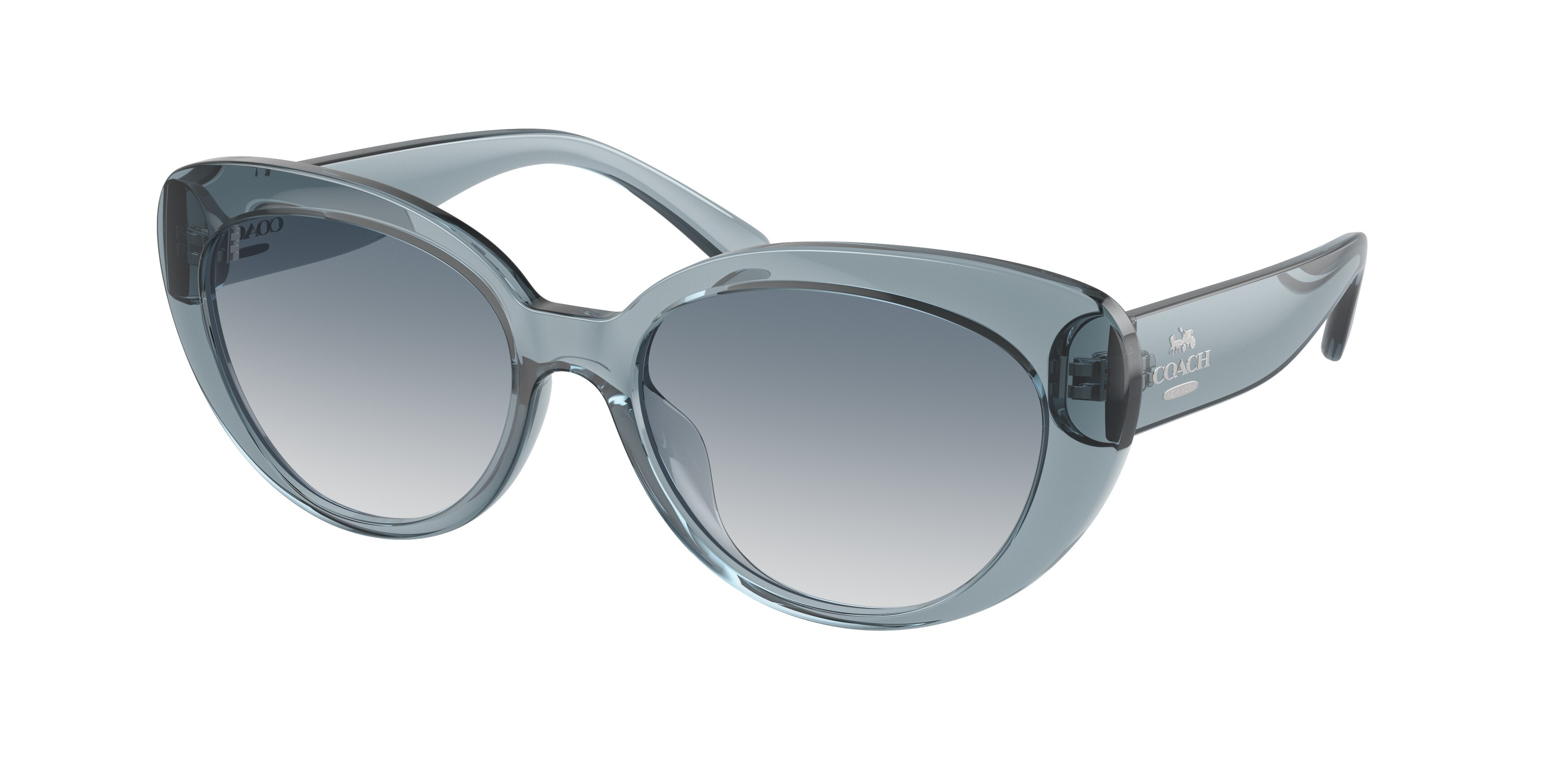 Coach Clear Crystal Frame Sunglasses with Gradient Gray Lenses Coach HC8439U CBZ52 - Rectangle Transparent Light Blue Frame  main image 3