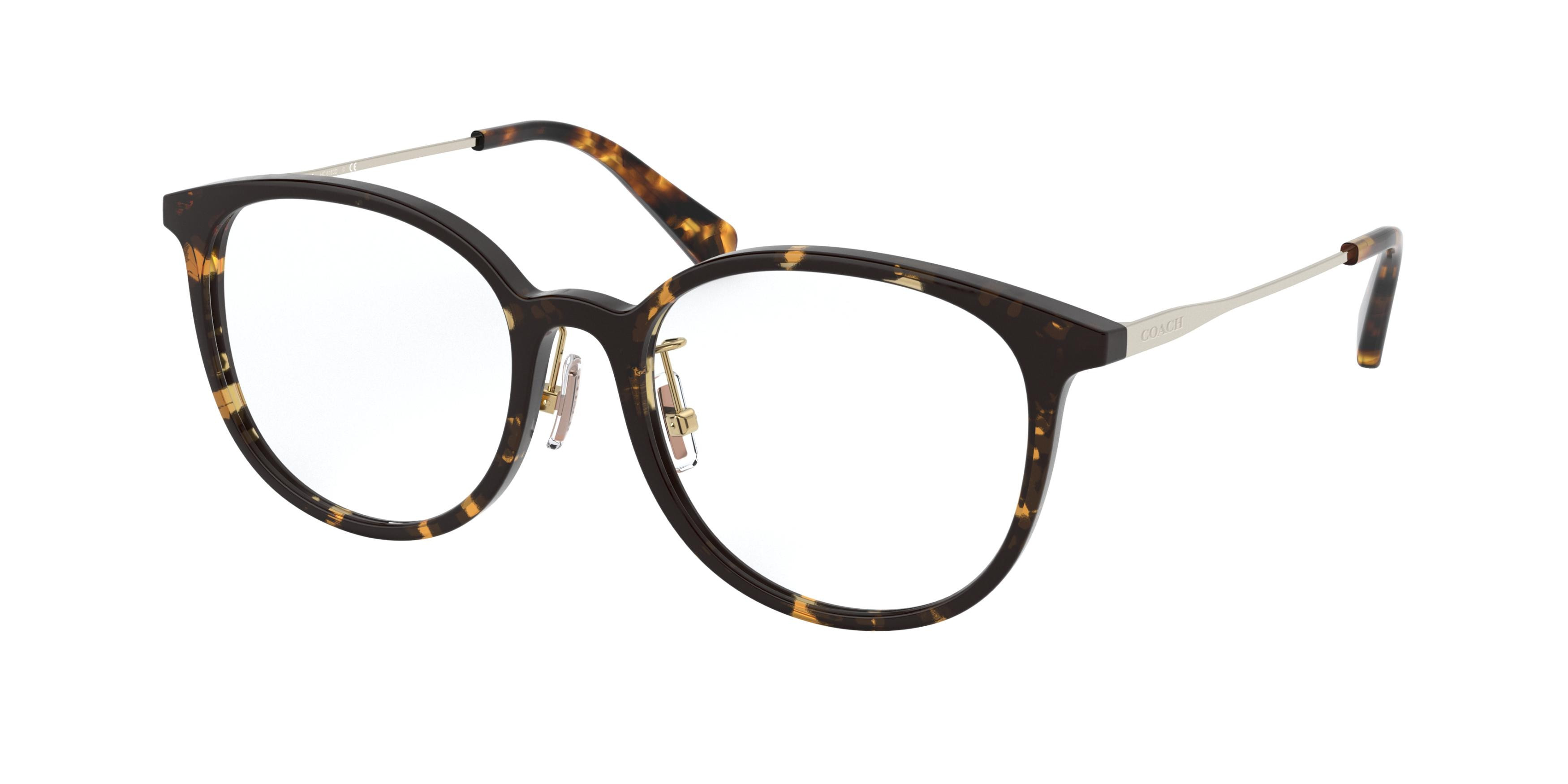 HC6160D Eyeglasses - Coach Authorized Retailer | coolframes.com