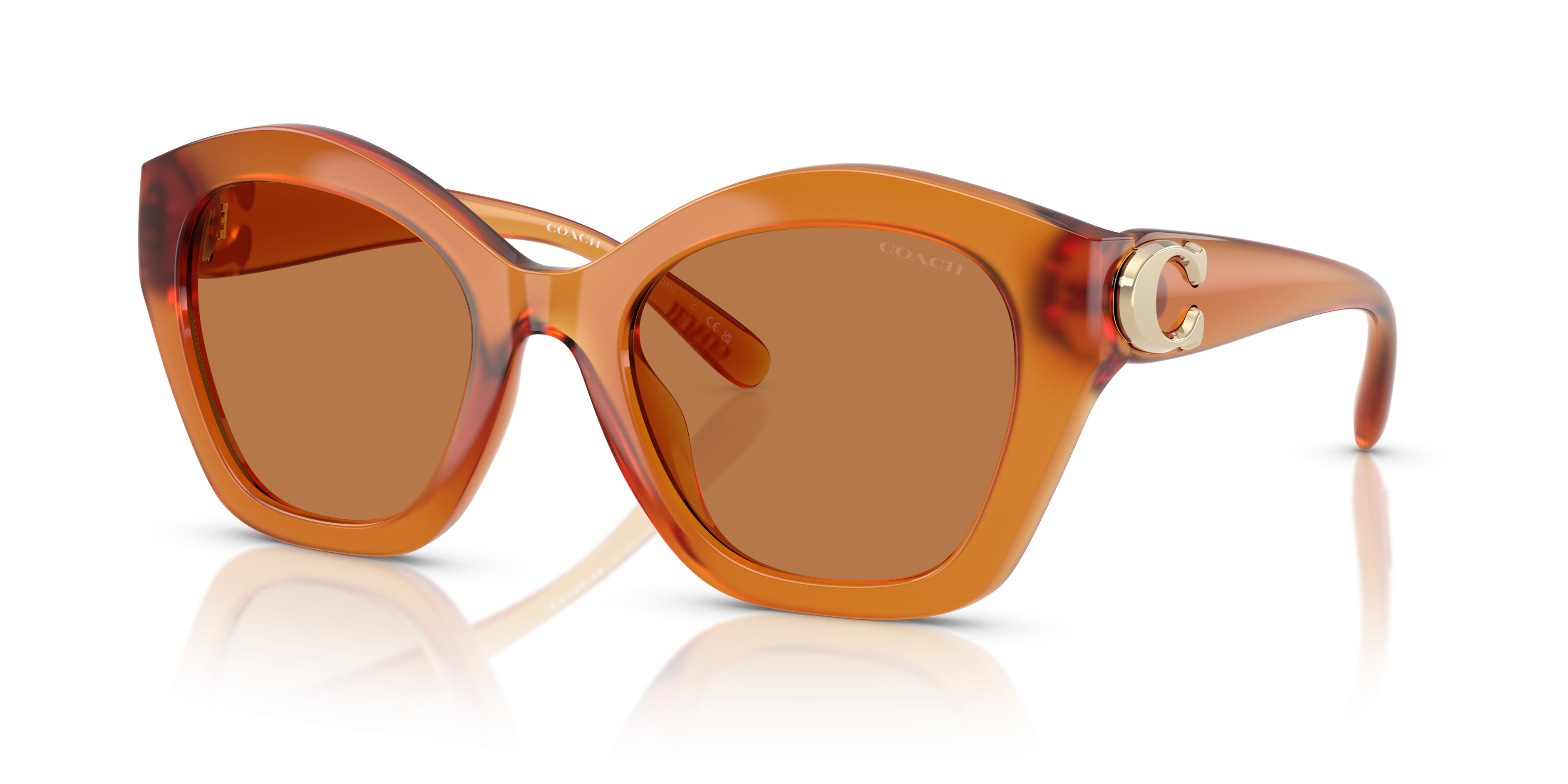 HC8421U CAD31 Sunglasses - Coach Authorized Retailer 