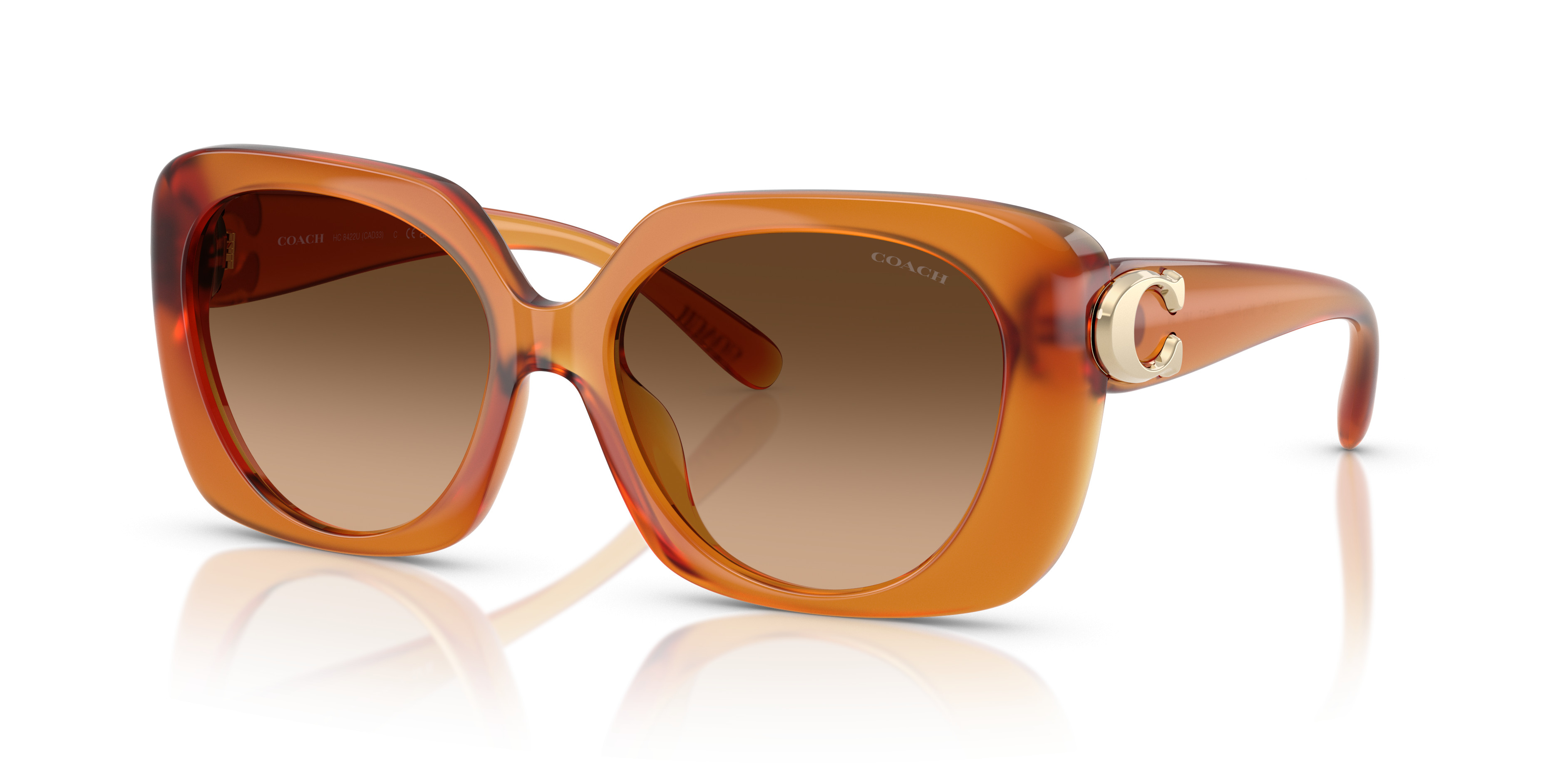 HC8422U CAD33 Sunglasses - Coach Authorized Retailer | coolframes