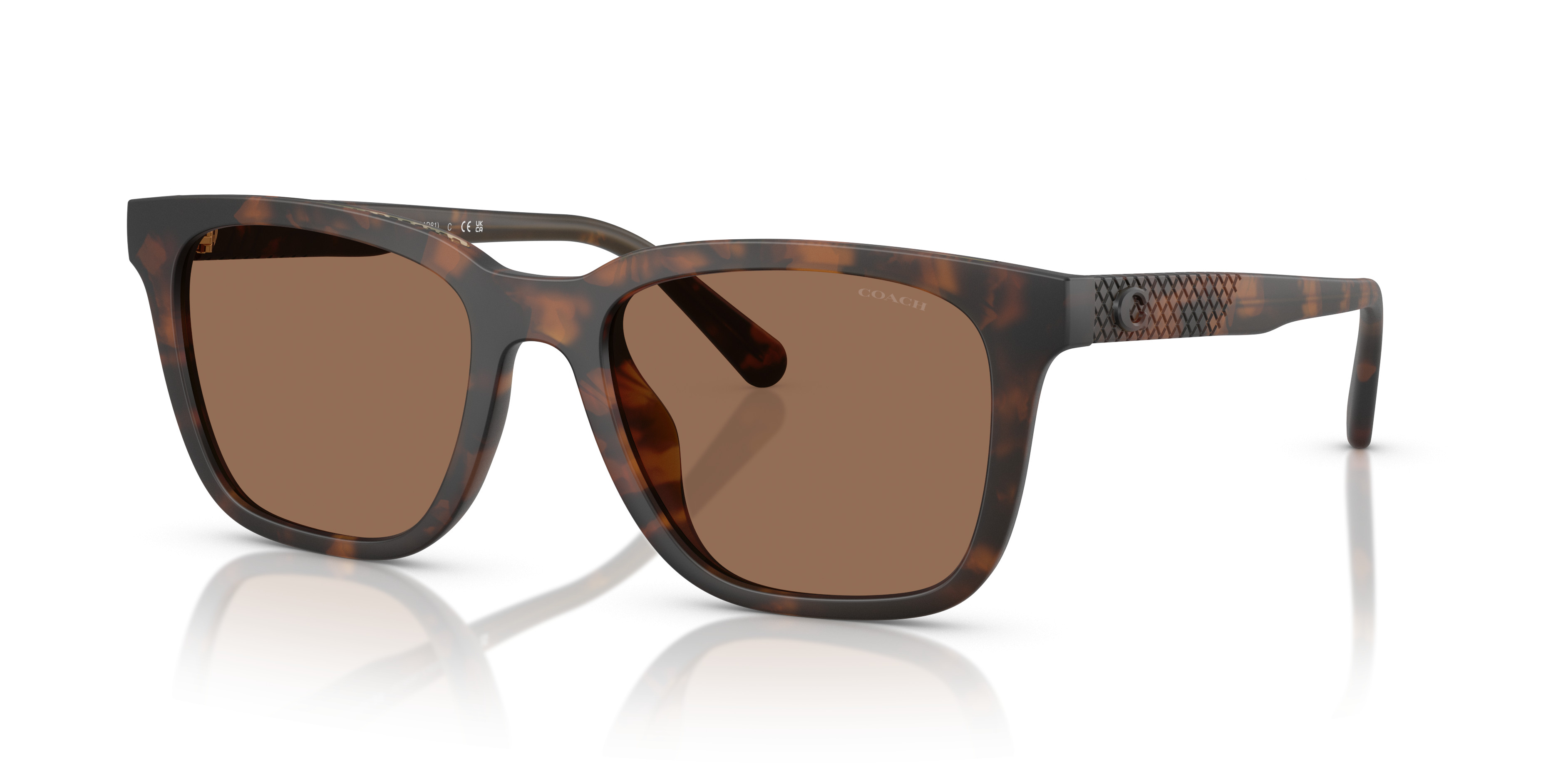 HC8426U CAD81 Sunglasses - Coach Authorized Retailer 