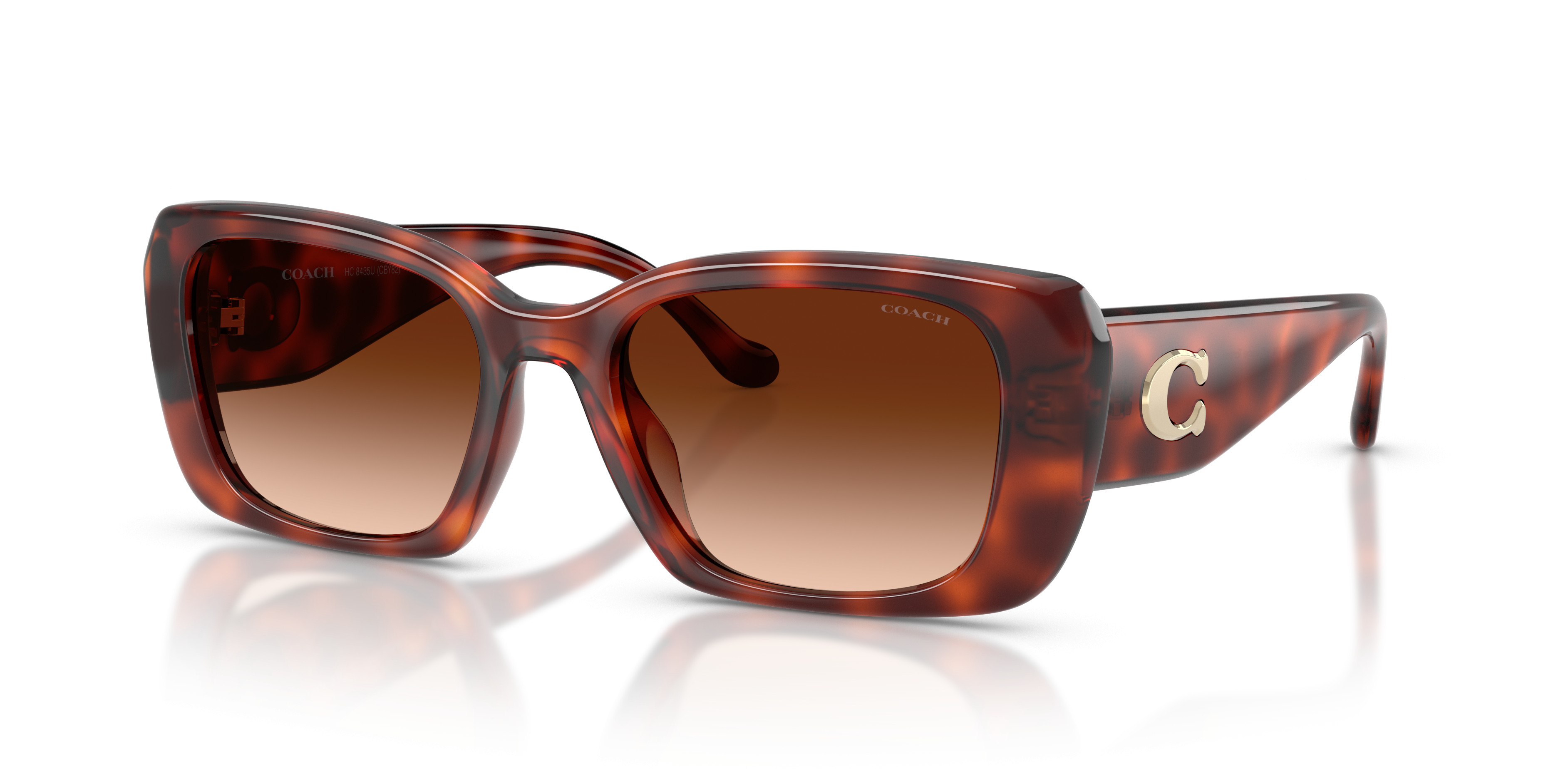 HC8435U CBY82 Sunglasses - Coach Authorized Retailer 