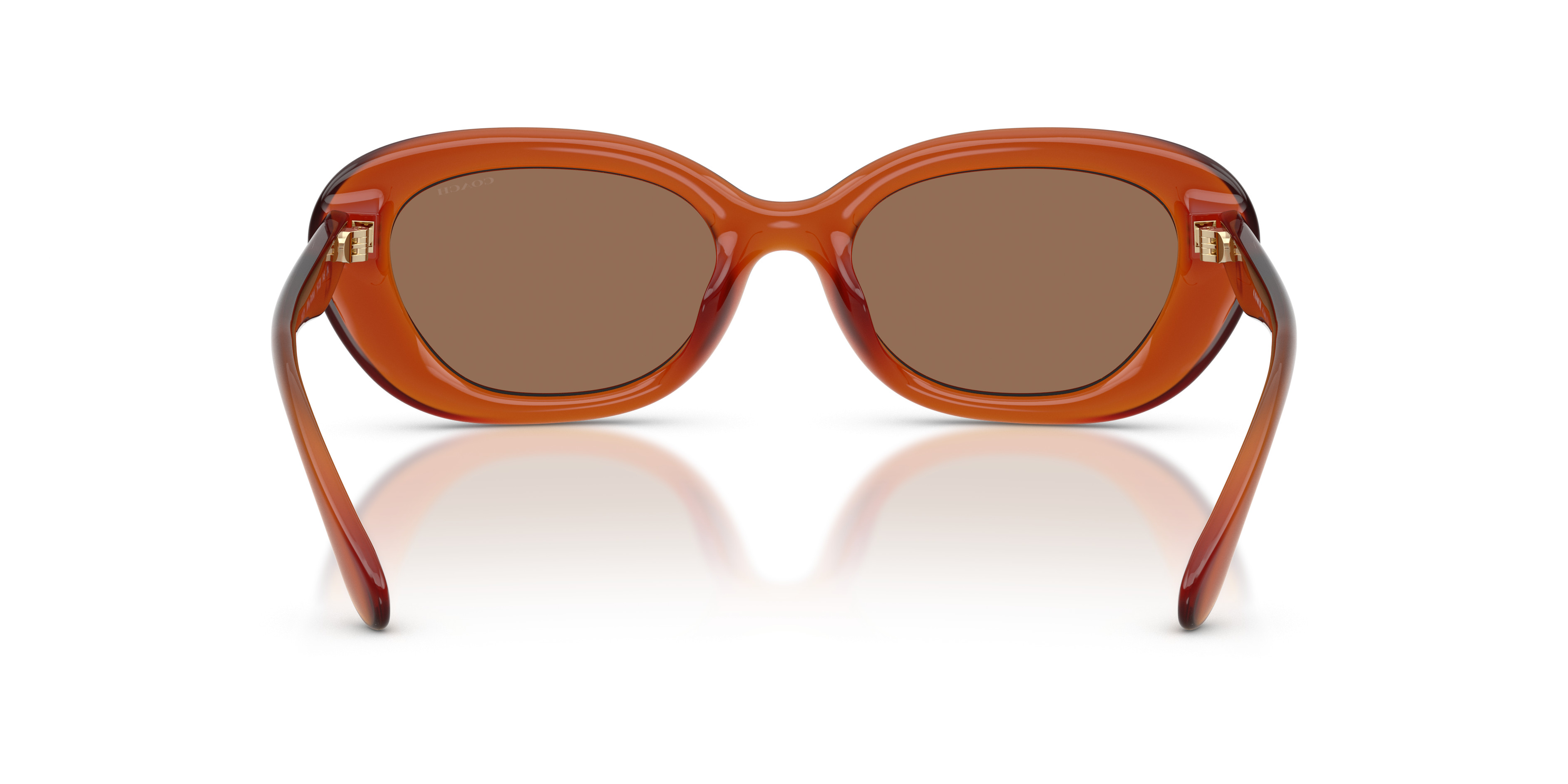 HC8448U CDP35 Sunglasses - Coach Authorized Retailer  display picture 1