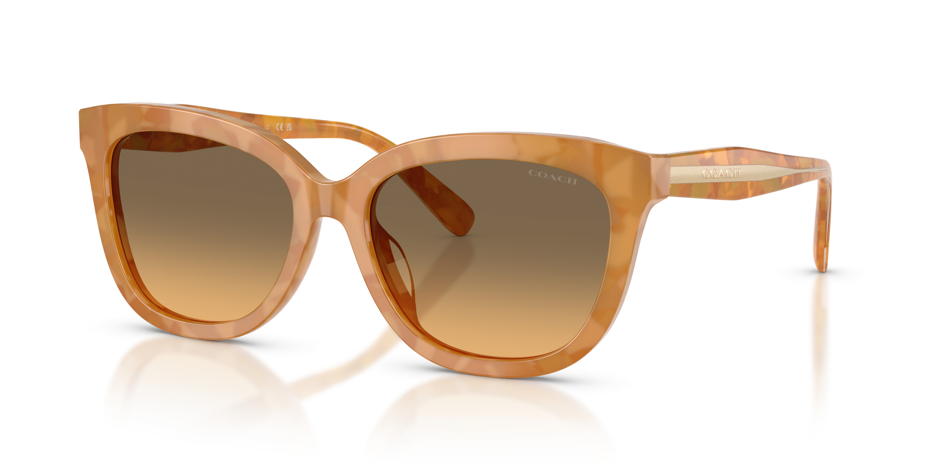 HC8453U CDP53 Sunglasses - Coach Authorized Retailer | coolframes