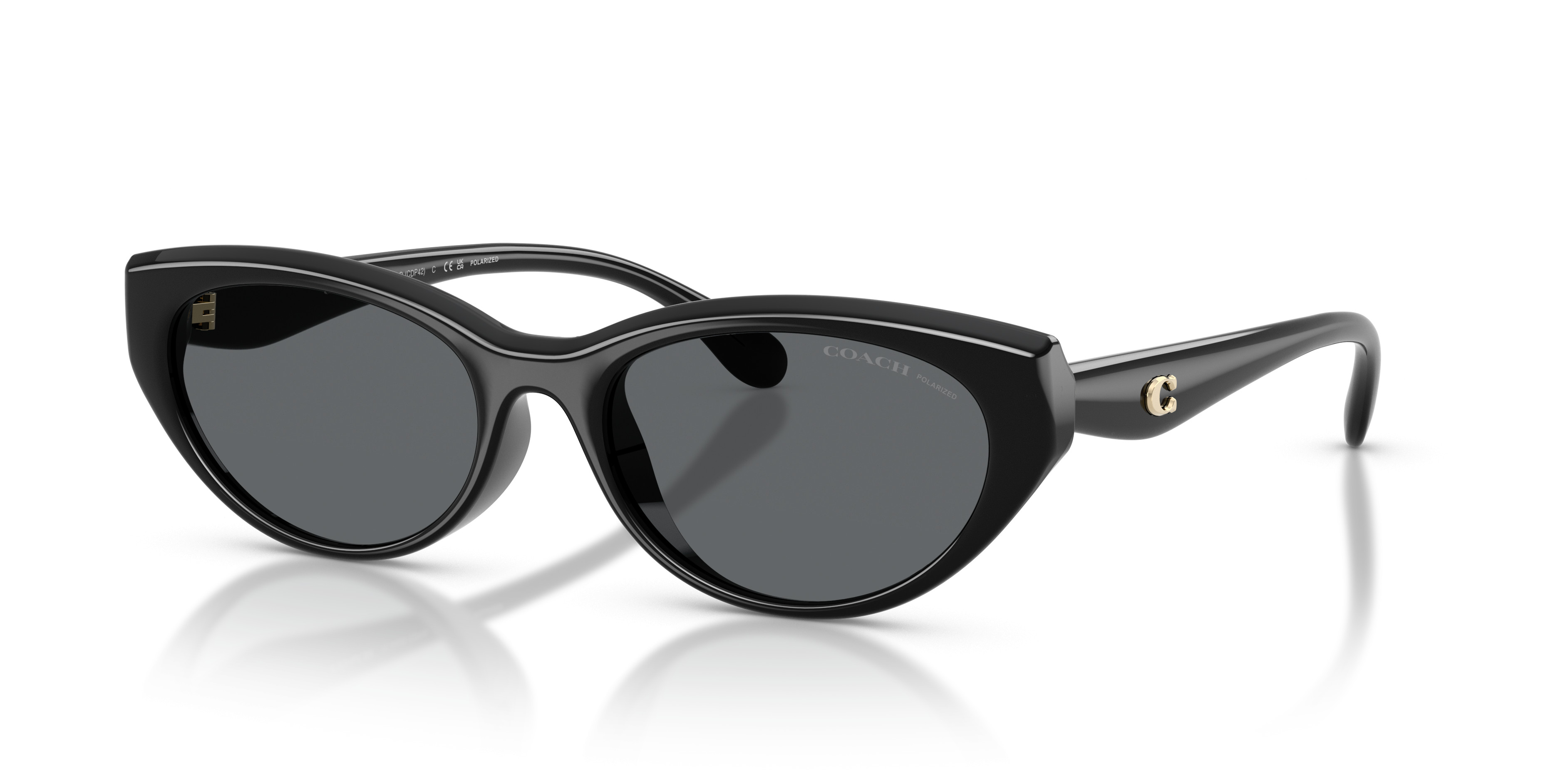 HC8456D CDP42 Sunglasses - Coach Authorized Retailer 
