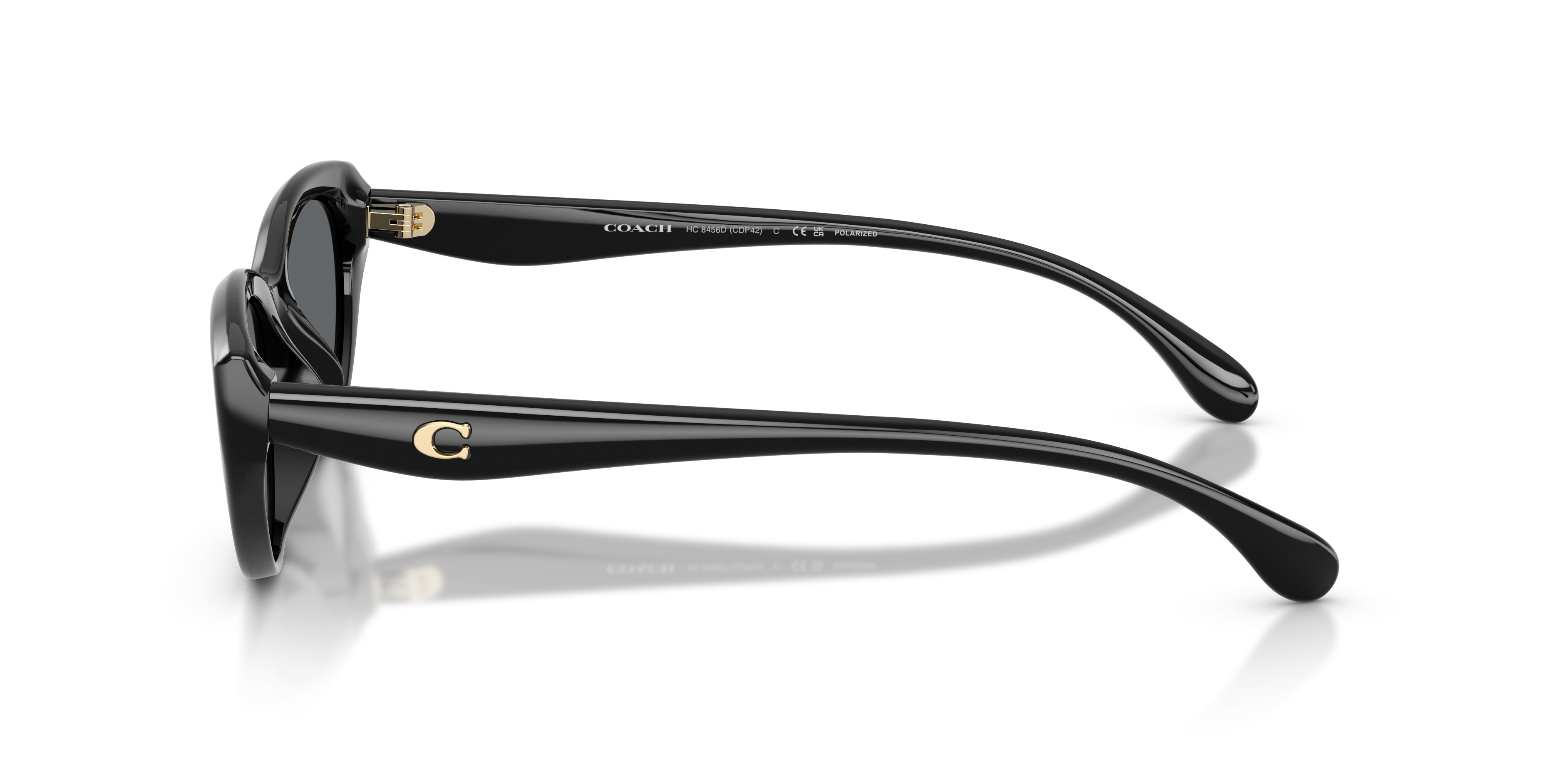 HC8456D CDP42 Sunglasses - Coach Authorized Retailer | coolframes