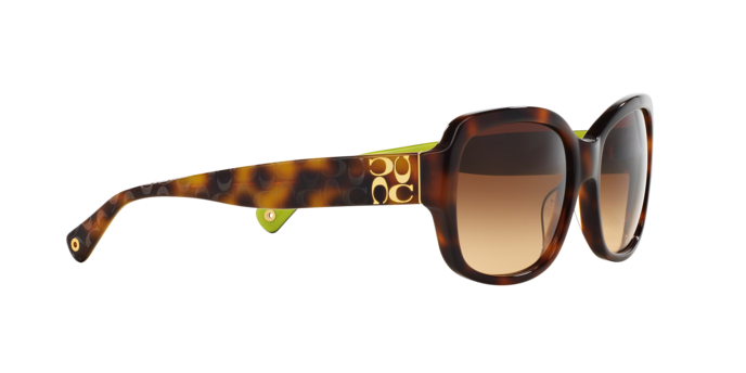 Women’s Coach Emma Stylish Black and Tan Sunglasses Coach Women main image 2