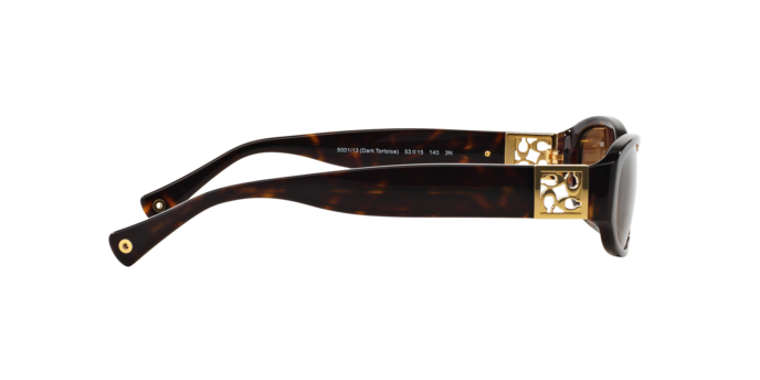 HC8012 HOPE Sunglasses - Coach Authorized Retailer  display picture 3