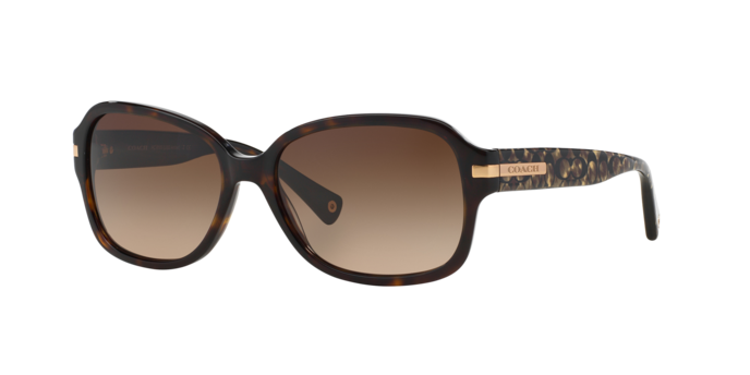 HC8105 L082 AMBER Sunglasses - Coach Authorized Retailer  display picture 3