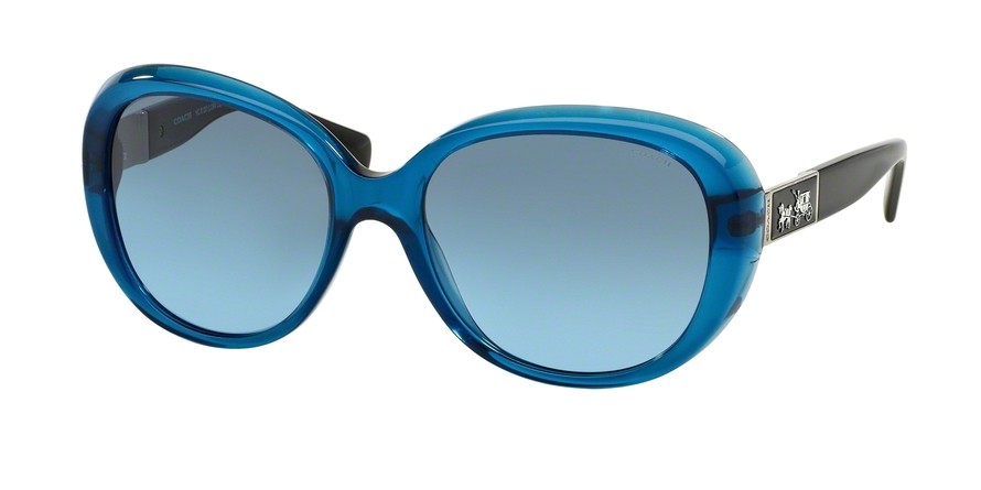 HC8120 L094 CARTER Sunglasses - Coach Authorized Retailer  display picture 3