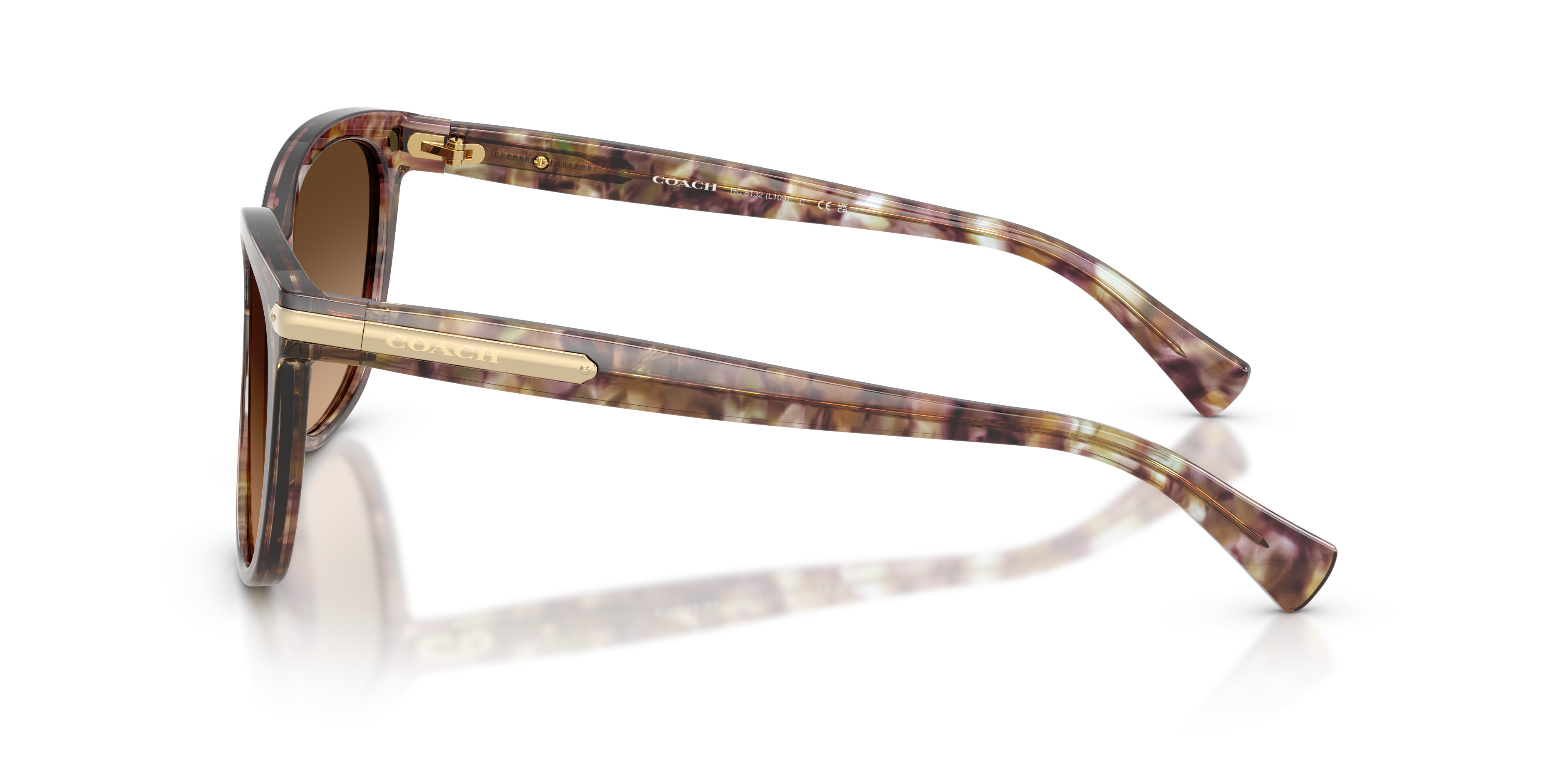 HC8132 L109 Sunglasses - Coach Authorized Retailer | coolframes