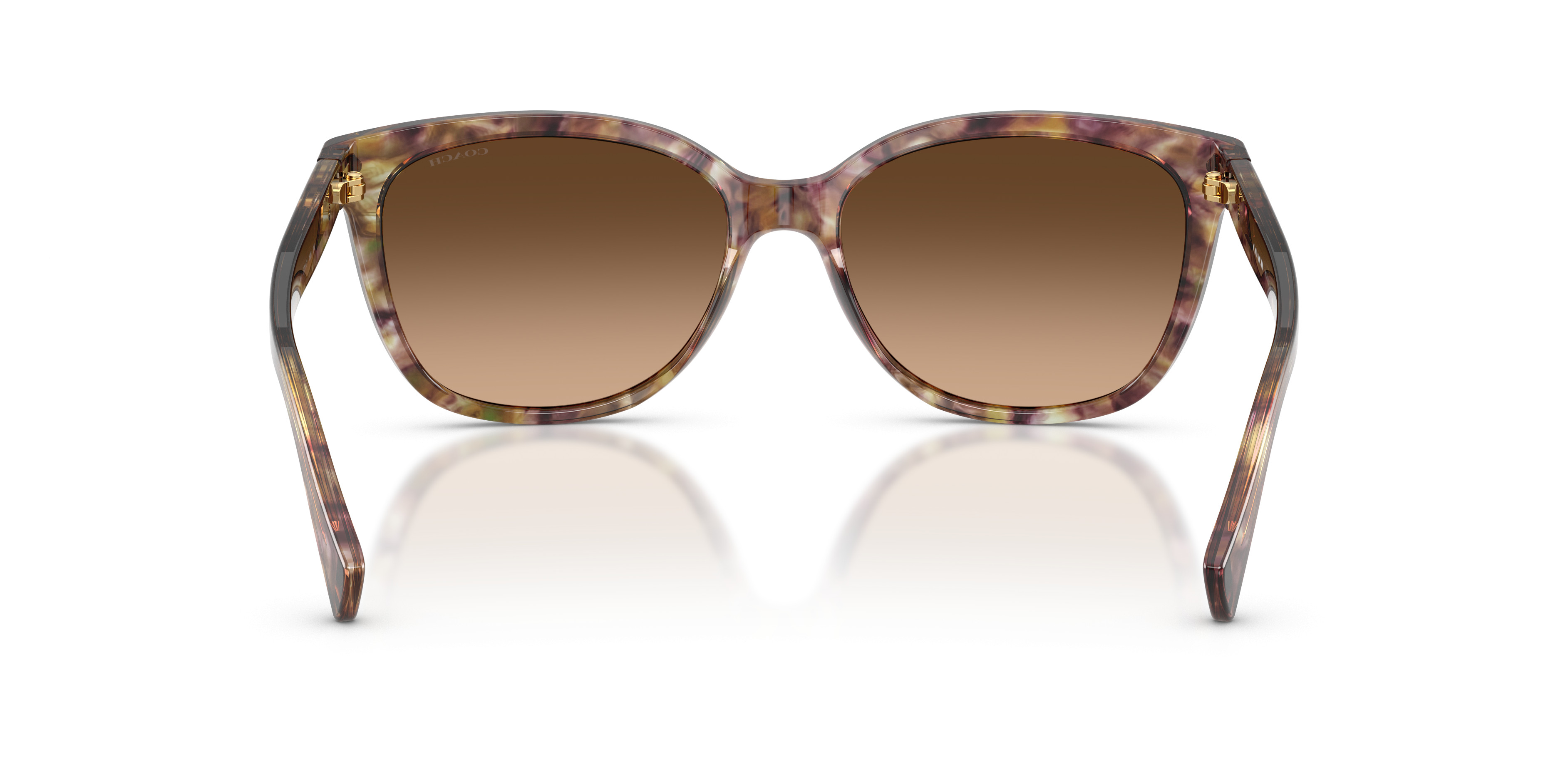 HC8132 L109 Sunglasses - Coach Authorized Retailer | coolframes