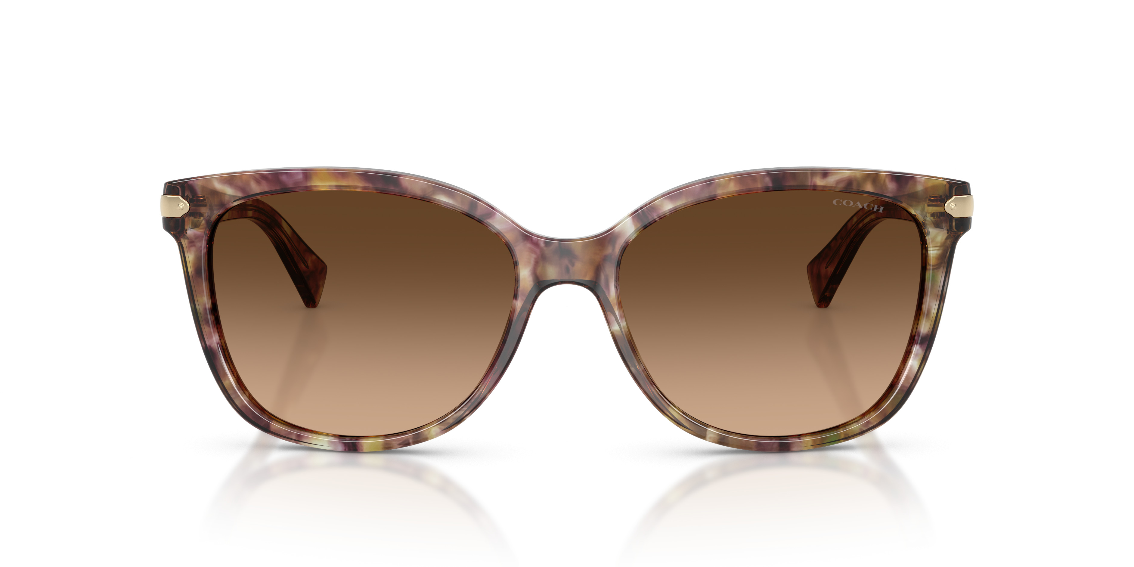 HC8132 L109 Sunglasses - Coach Authorized Retailer | coolframes