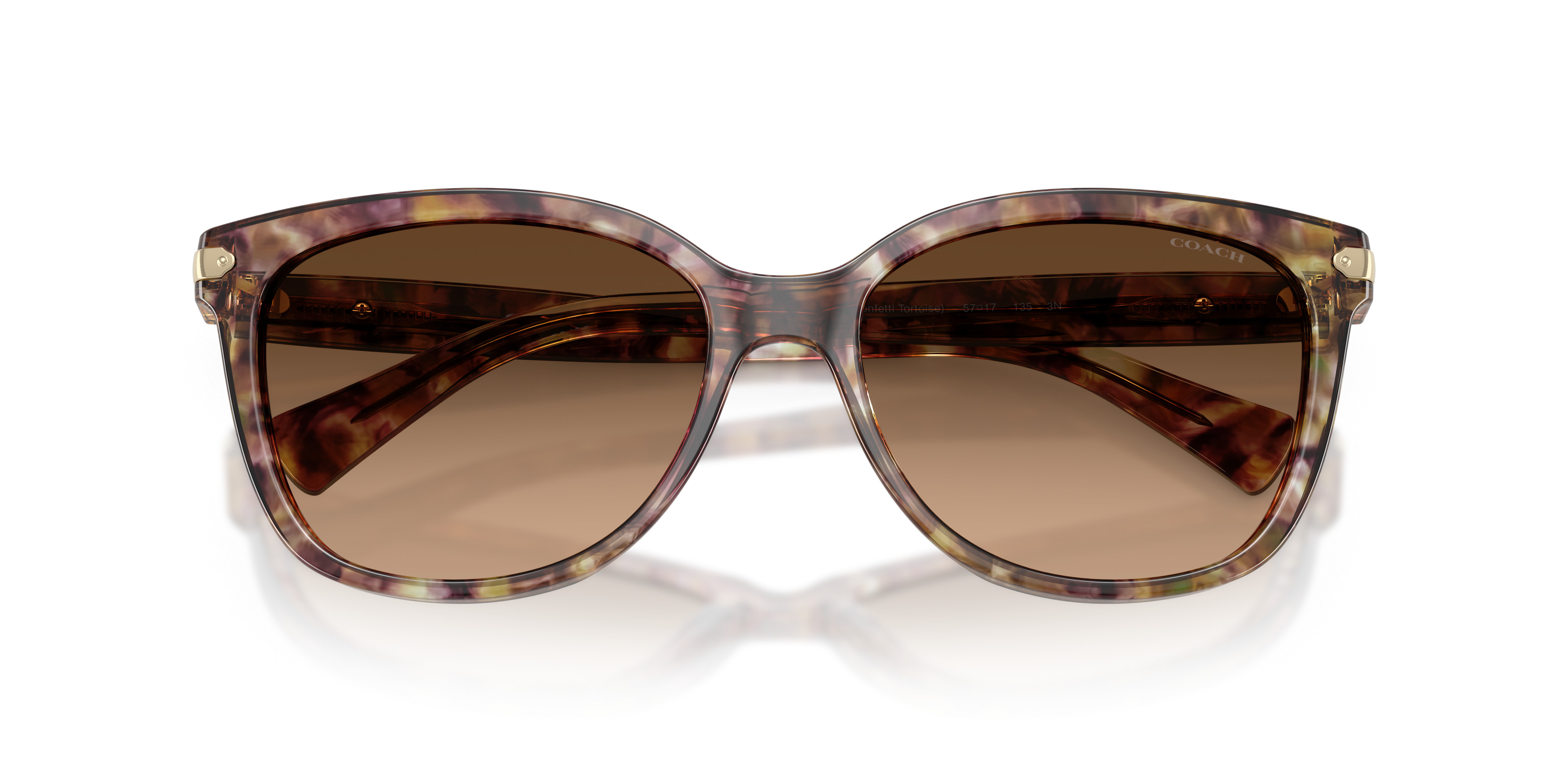 HC8132 L109 Sunglasses - Coach Authorized Retailer | coolframes