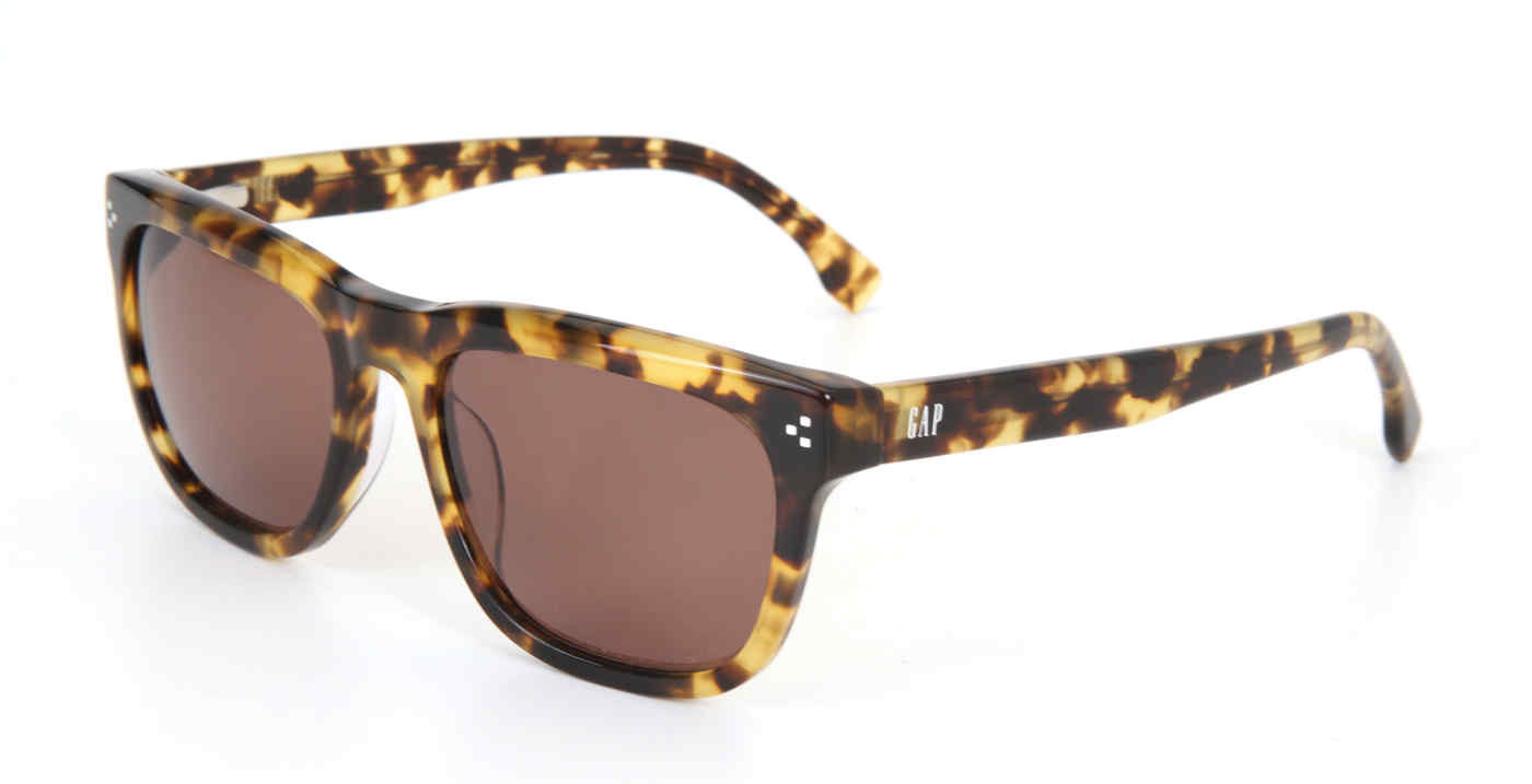 Gap Steiner tortoise sunglasses Polarized Sunglasses | Gap main image 3