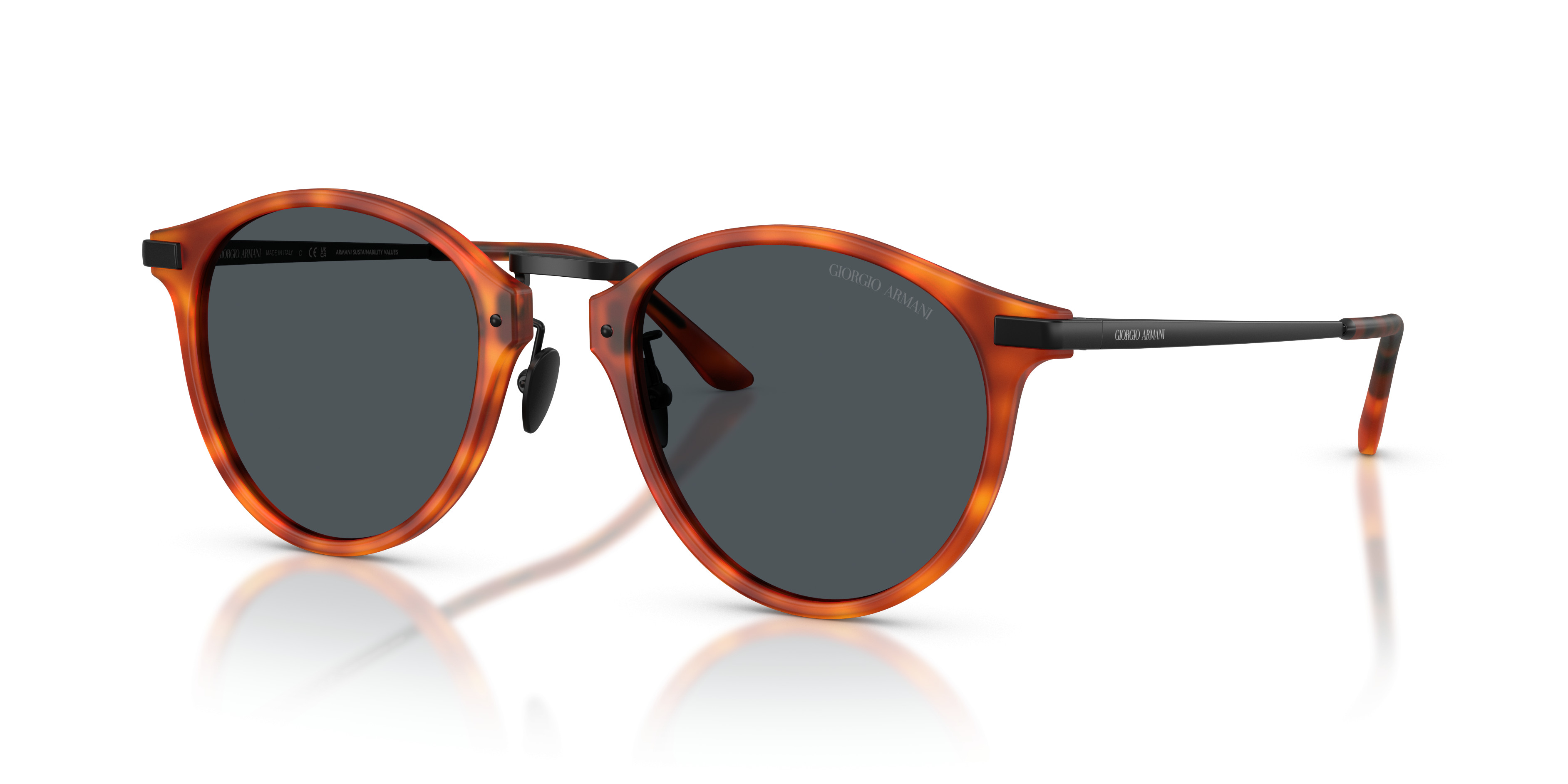AR8250 Sunglasses - Giorgio Armani Authorized Retailer  display picture 1