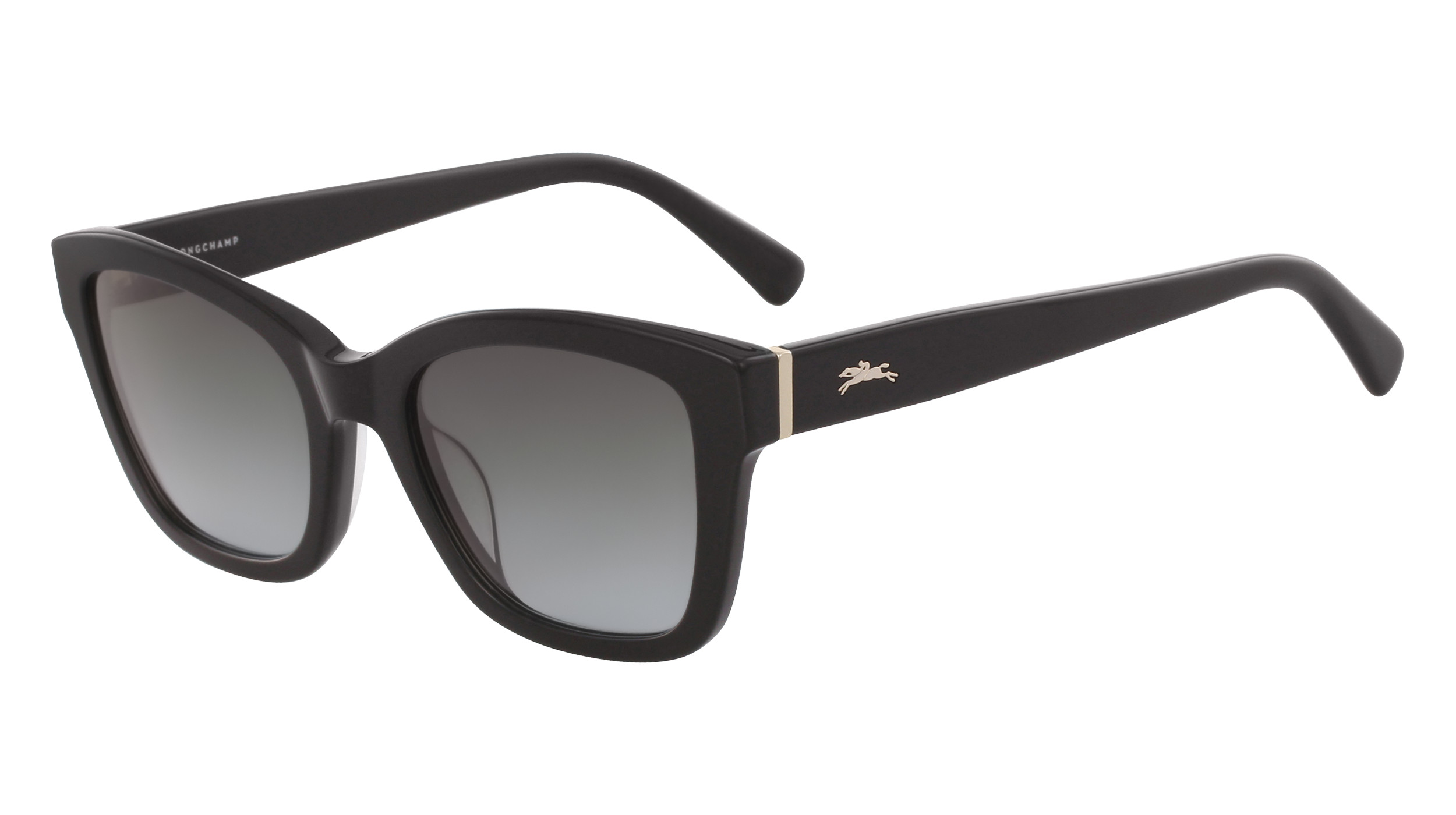 Longchamp Elegant Black Sunglasses LO632s LO632S Sunglasses - Longchamp Authorized Retailer  main image 2