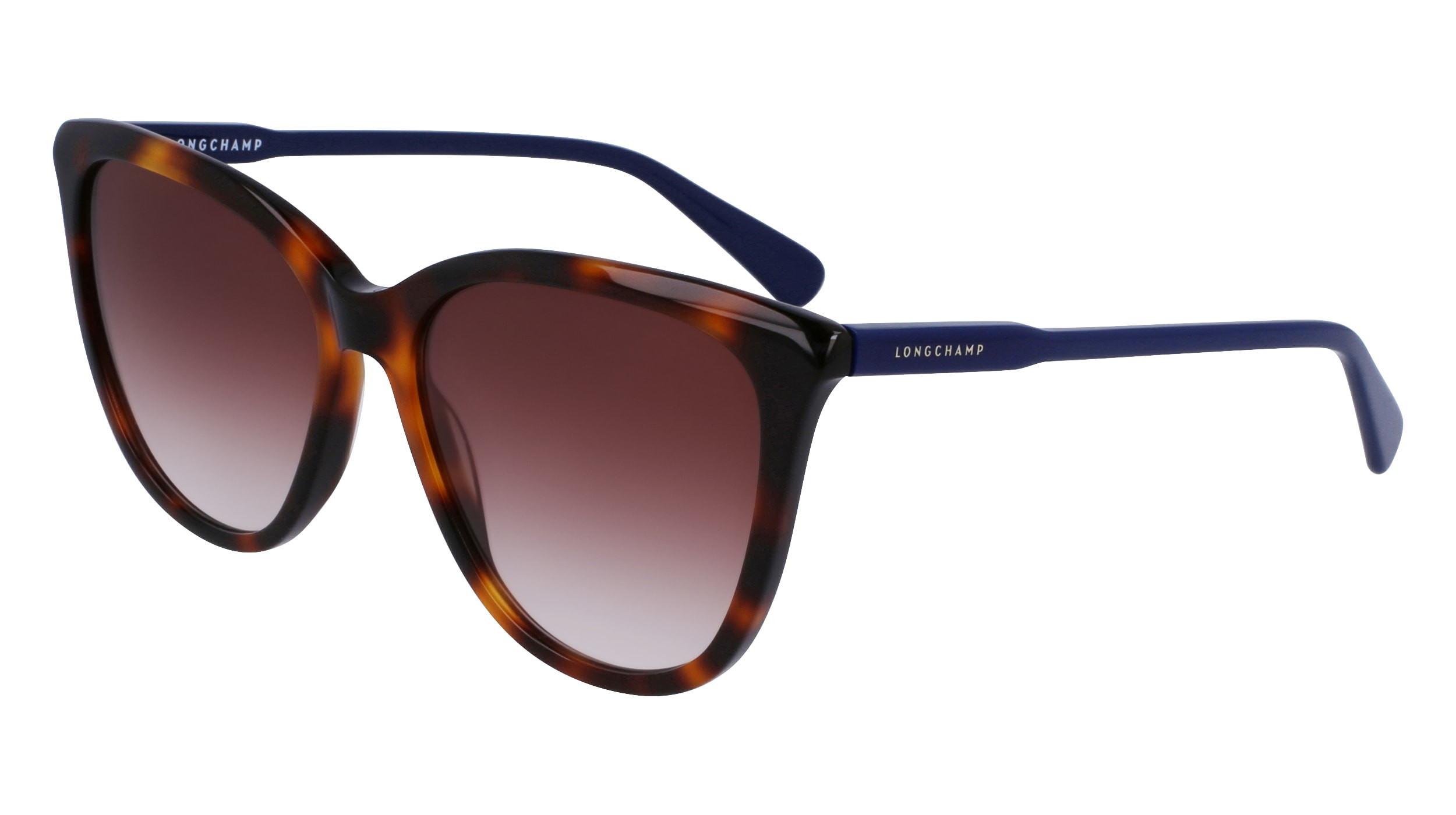 Longchamp Olive Sunglasses Case with Black Frame Sunglasses LO2745 Eyeglasses - Longchamp Authorized Retailer  main image 3