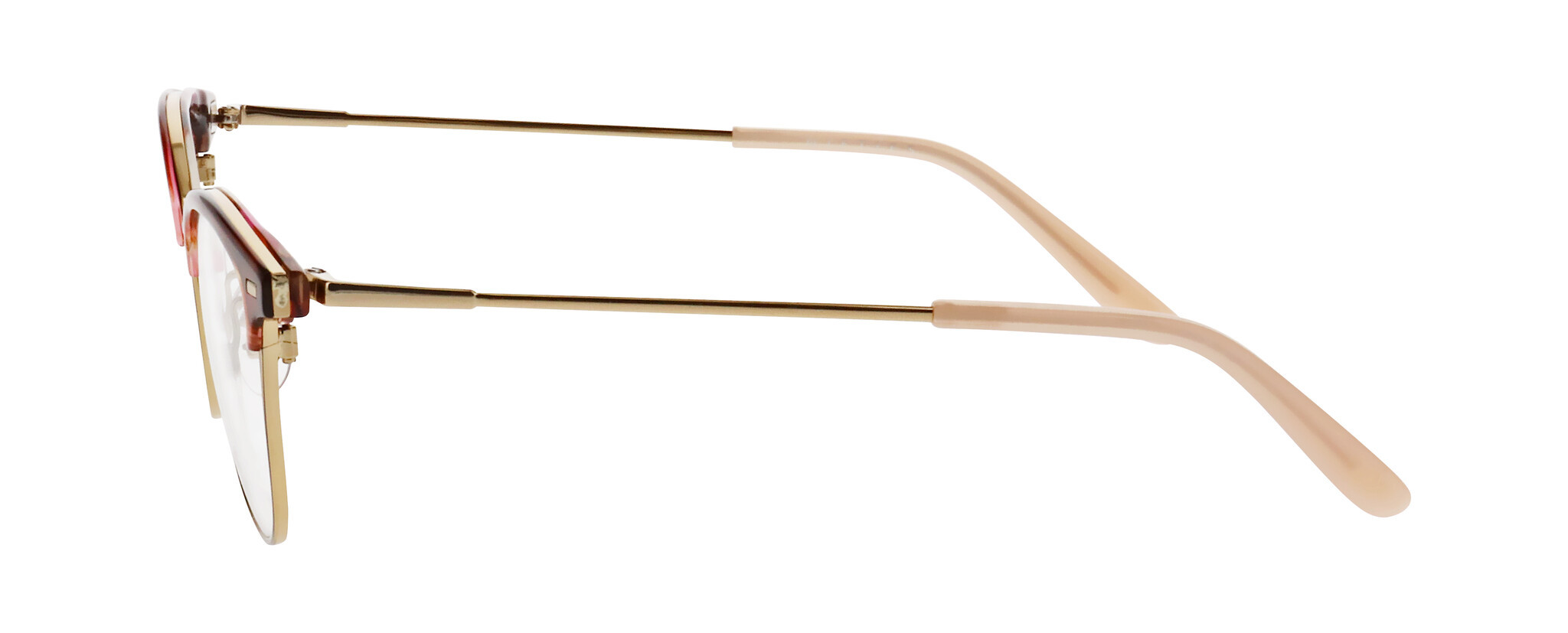 NI8548 Eyeglasses - Nifties Authorized Retailer | coolframes.com