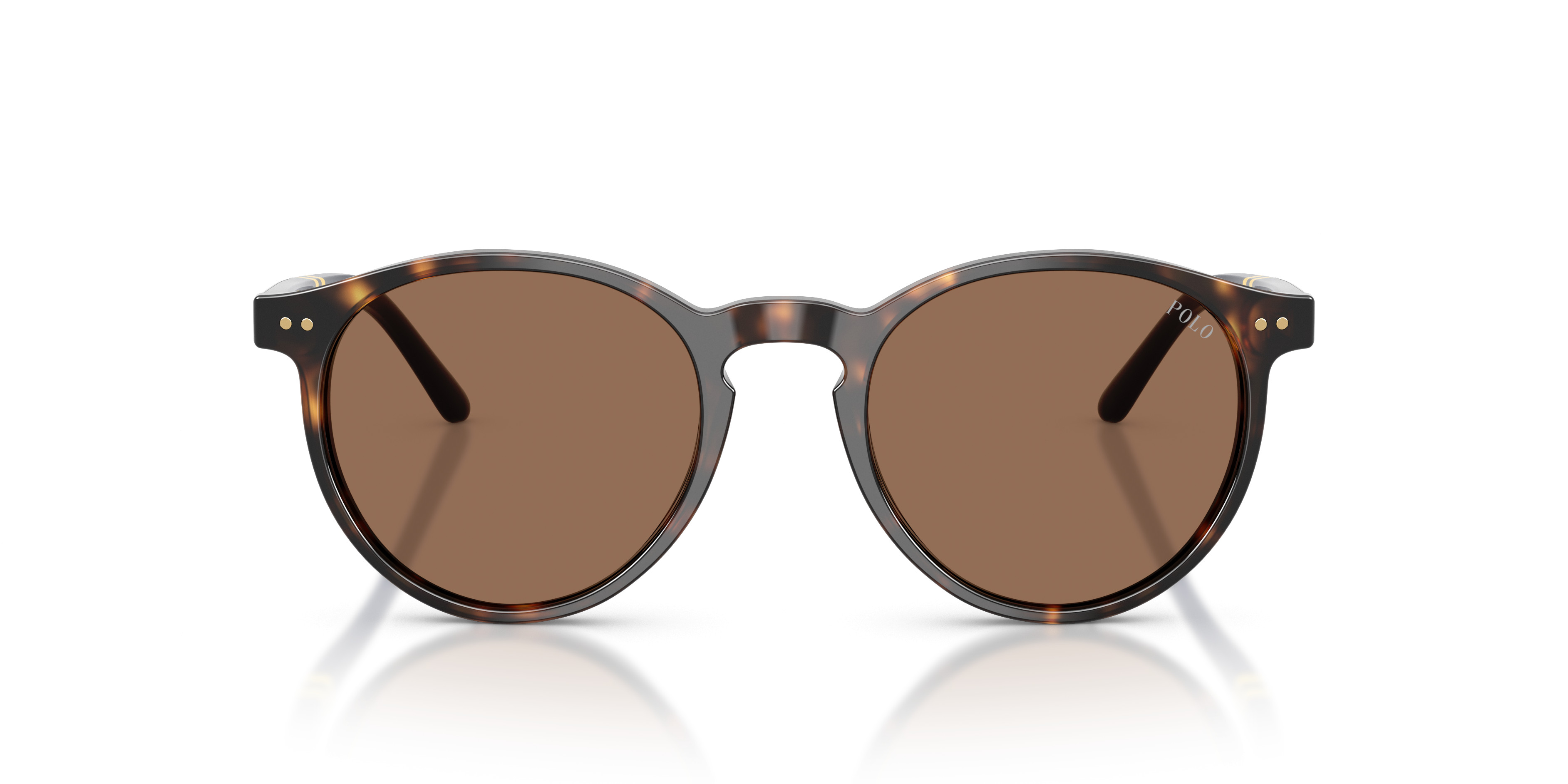 PH4236 Sunglasses - Polo by Ralph Lauren Authorized Retailer