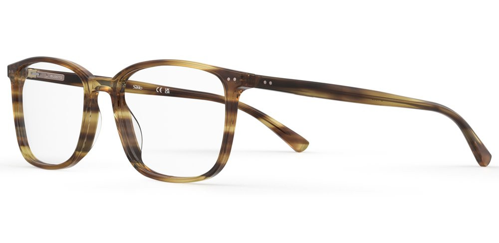 E 1652 Eyeglasses - Safilo Elasta Authorized Retailer  display picture 2