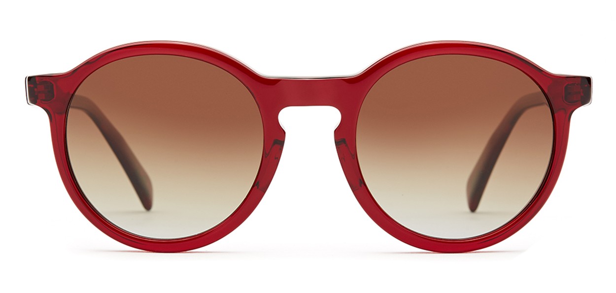 Francine Sunglasses - Salt Optics Authorized Retailer  display picture 3