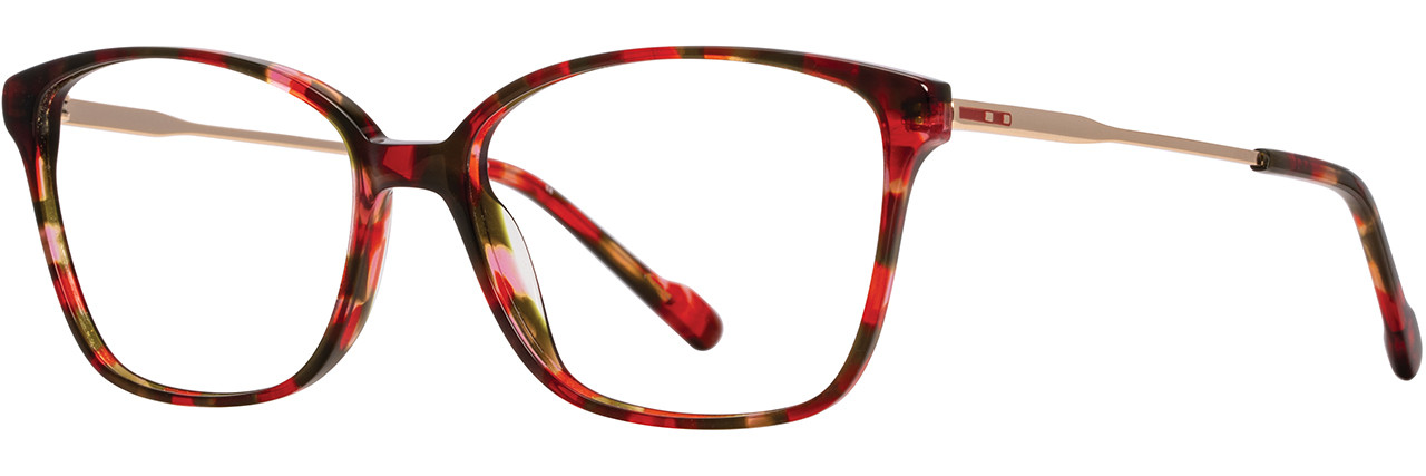 Scott Lens Frame Size Details
