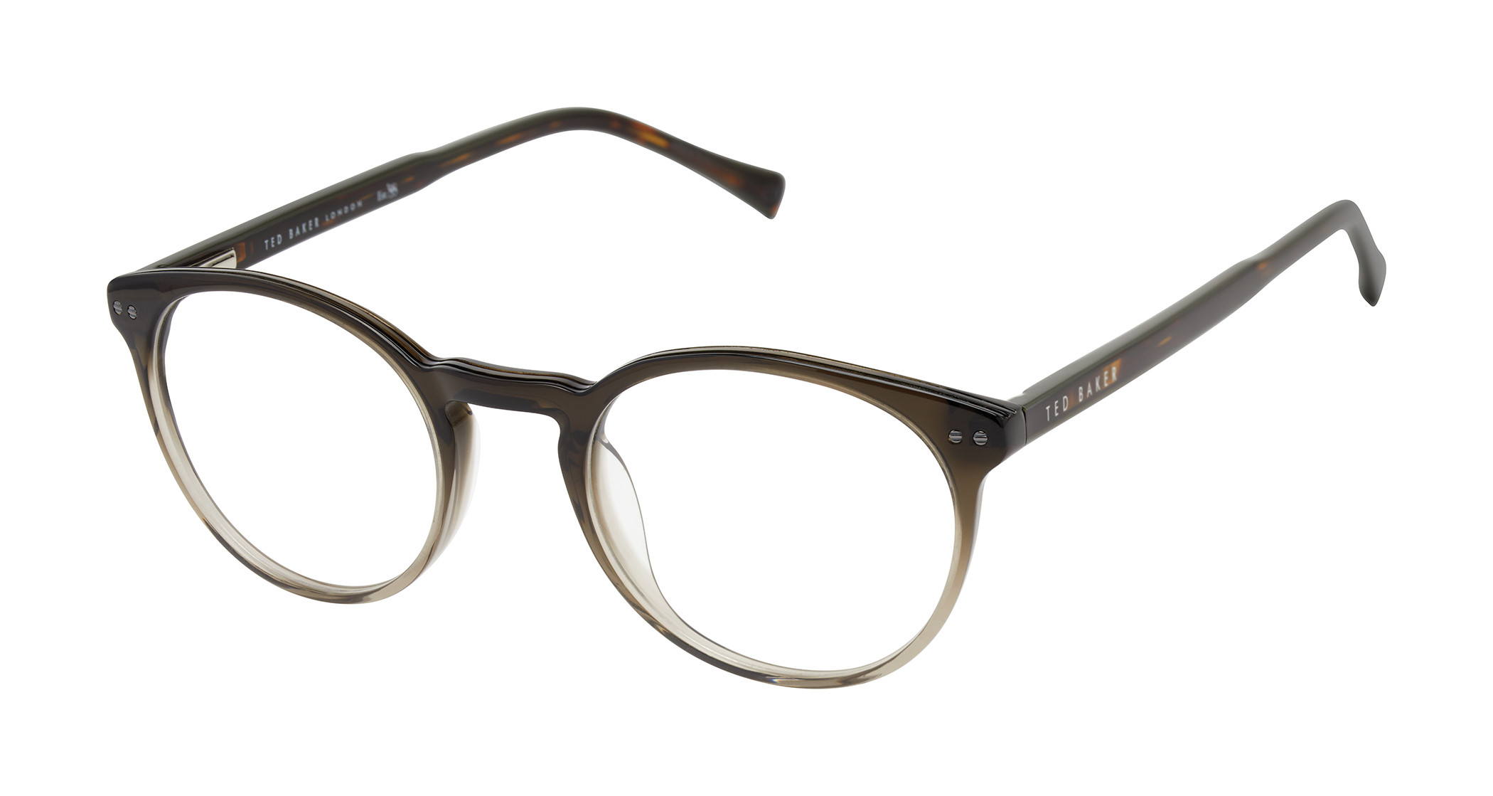 TM018 Eyeglasses - Ted Baker Authorized Retailer | coolframes.com